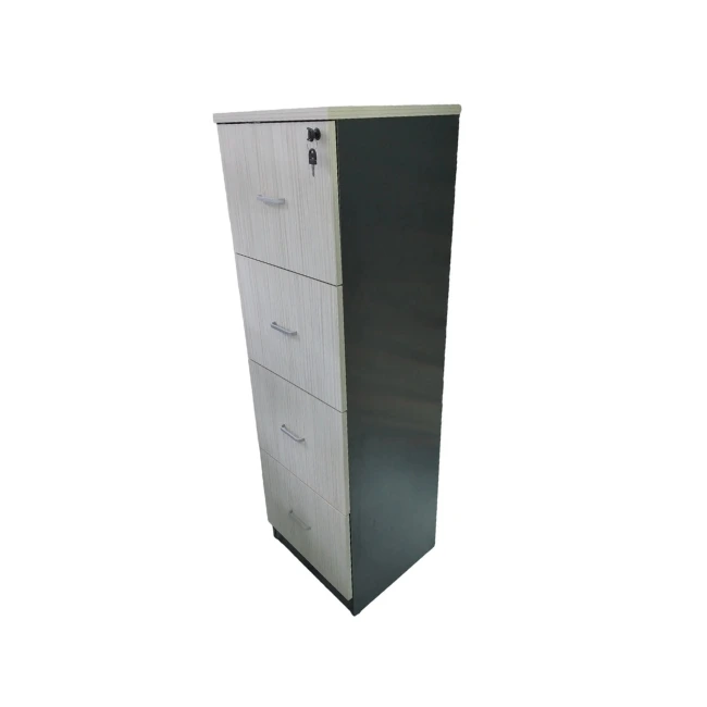 CLASSEUR C4 ERABLE
